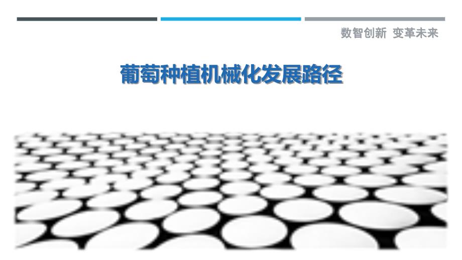葡萄种植机械化发展路径-剖析洞察_第1页