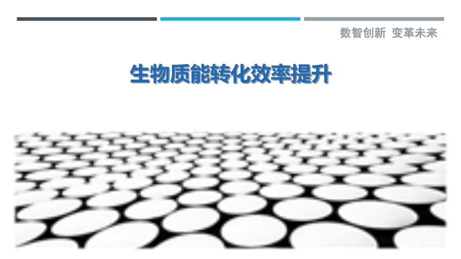 生物质能转化效率提升-第5篇-剖析洞察_第1页