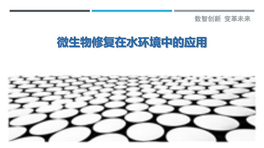 微生物修复在水环境中的应用-剖析洞察_第1页