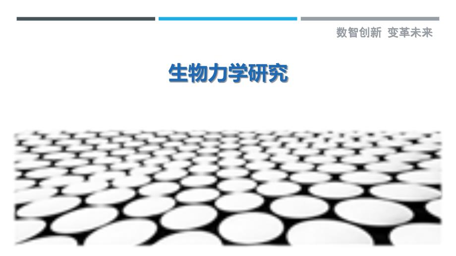生物力学研究-剖析洞察_第1页