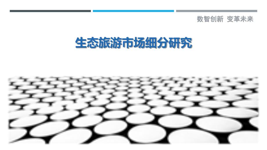 生态旅游市场细分研究-剖析洞察_第1页
