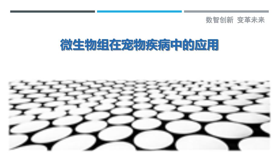 微生物组在宠物疾病中的应用-剖析洞察_第1页