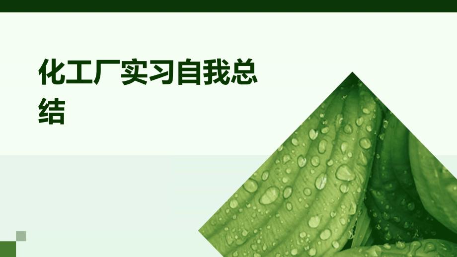 化工厂实习自我总结PPT_第1页