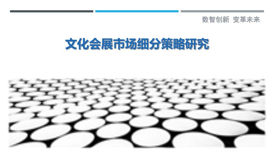 文化会展市场细分策略研究-剖析洞察_第1页