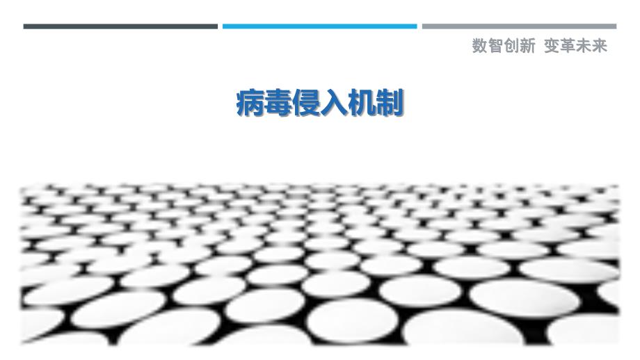 病毒侵入机制-剖析洞察_第1页