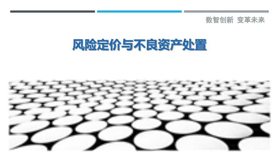 风险定价与不良资产处置-剖析洞察_第1页