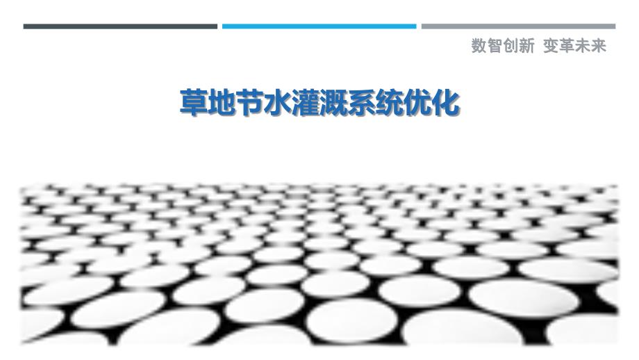草地节水灌溉系统优化-剖析洞察_第1页