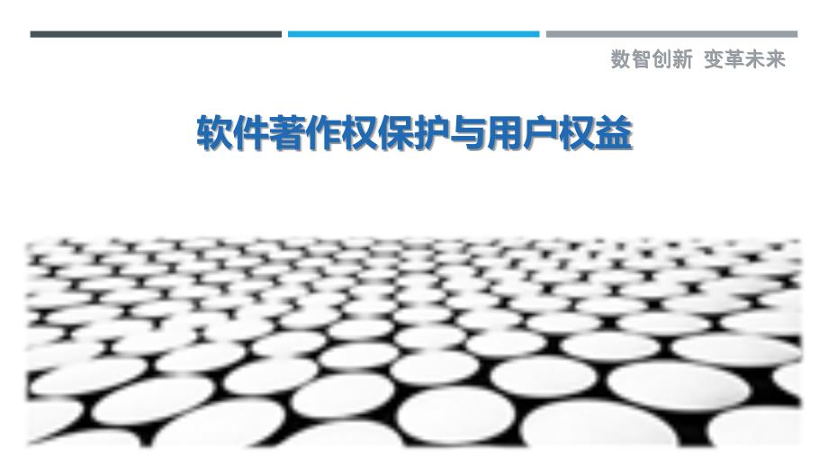 软件著作权保护与用户权益-剖析洞察_第1页