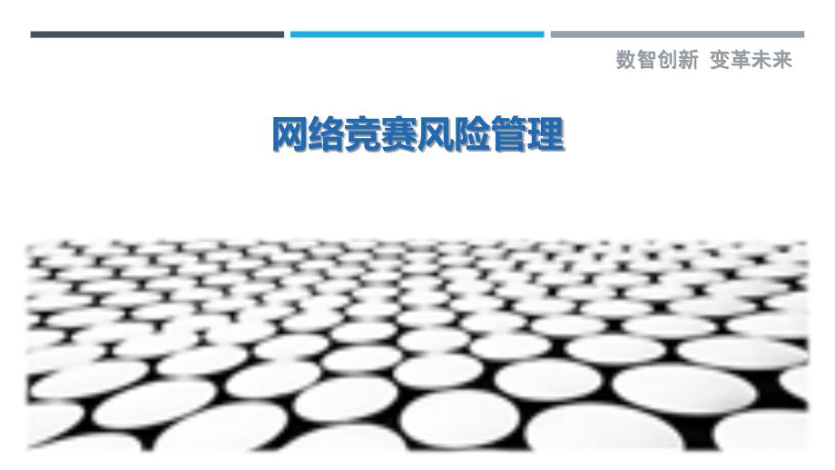 网络竞赛风险管理-剖析洞察_第1页