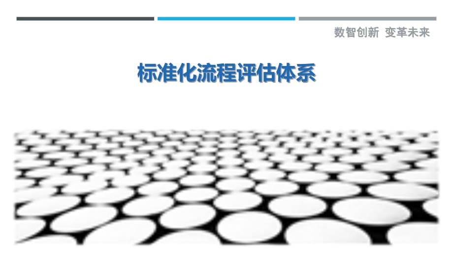 标准化流程评估体系-剖析洞察_第1页