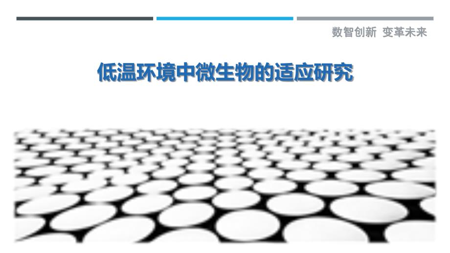 低温环境中微生物的适应研究-剖析洞察_第1页