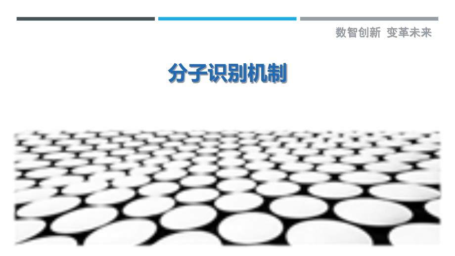 分子识别机制-剖析洞察_第1页