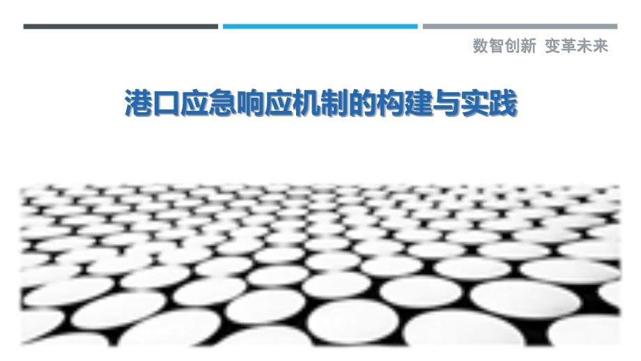 港口应急响应机制的构建与实践-剖析洞察_第1页