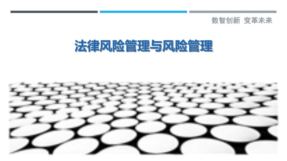 法律风险管理与风险管理-剖析洞察_第1页