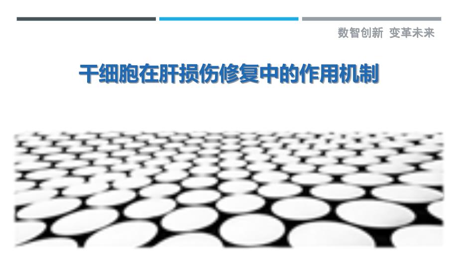 干细胞在肝损伤修复中的作用机制-剖析洞察_第1页