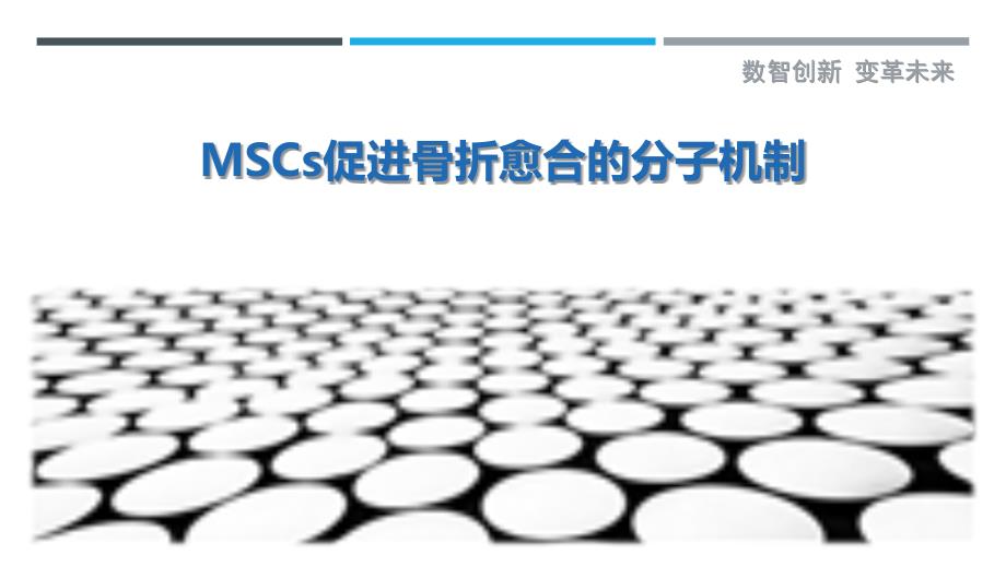MSCs促进骨折愈合的分子机制-剖析洞察_第1页