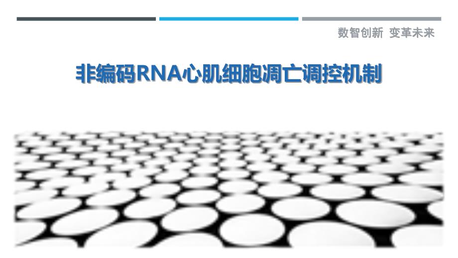 非编码RNA心肌细胞凋亡调控机制-剖析洞察_第1页