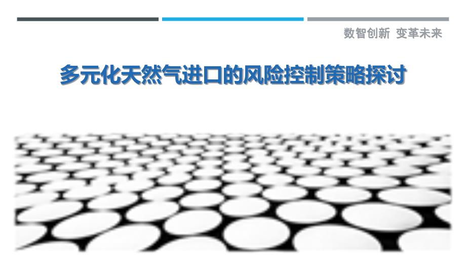 多元化天然气进口的风险控制策略探讨-剖析洞察_第1页