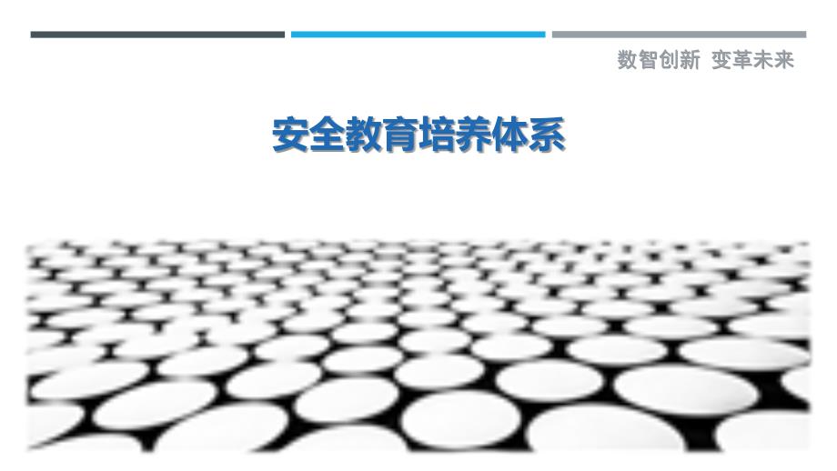 安全教育培养体系-剖析洞察_第1页
