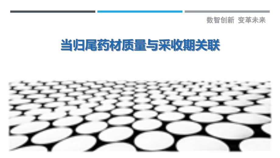 当归尾药材质量与采收期关联-剖析洞察_第1页