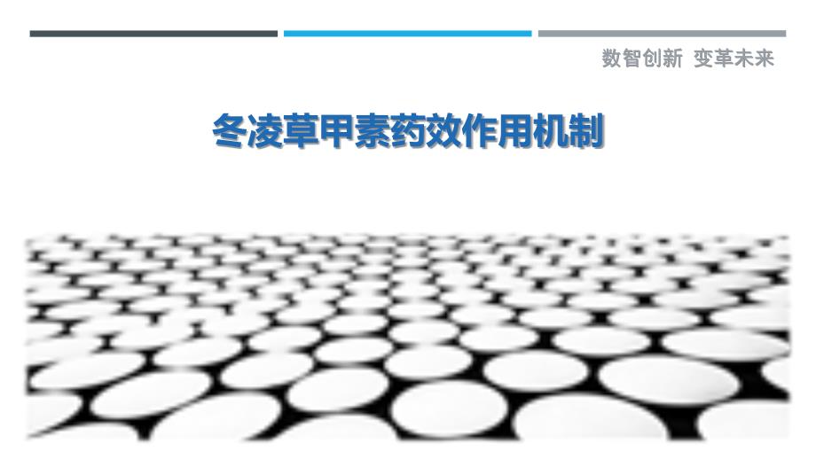 冬凌草甲素药效作用机制-剖析洞察_第1页