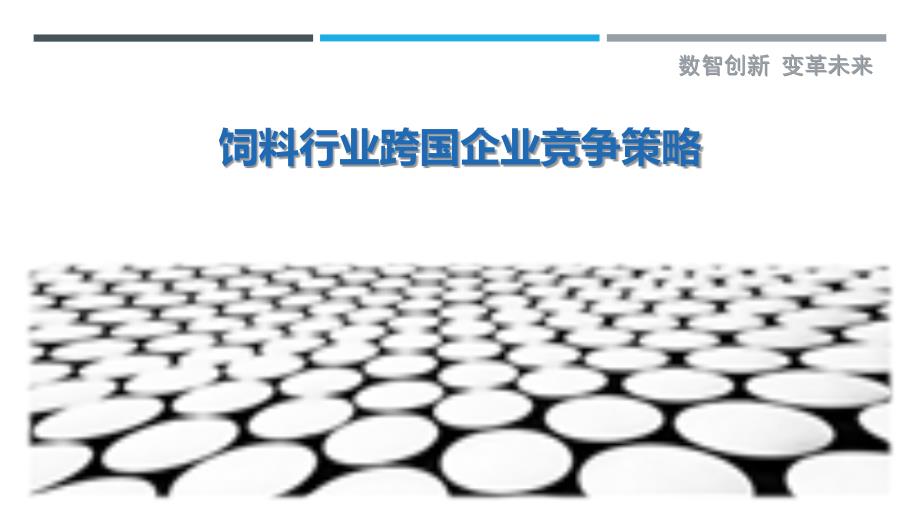 饲料行业跨国企业竞争策略-剖析洞察_第1页