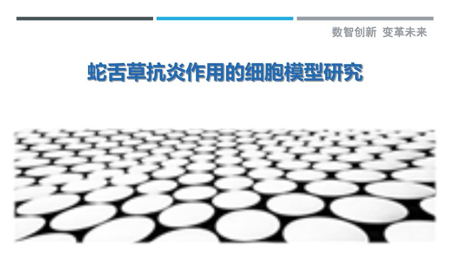 蛇舌草抗炎作用的细胞模型研究-剖析洞察_第1页
