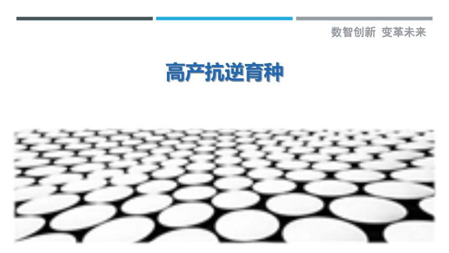 高产抗逆育种-剖析洞察_第1页