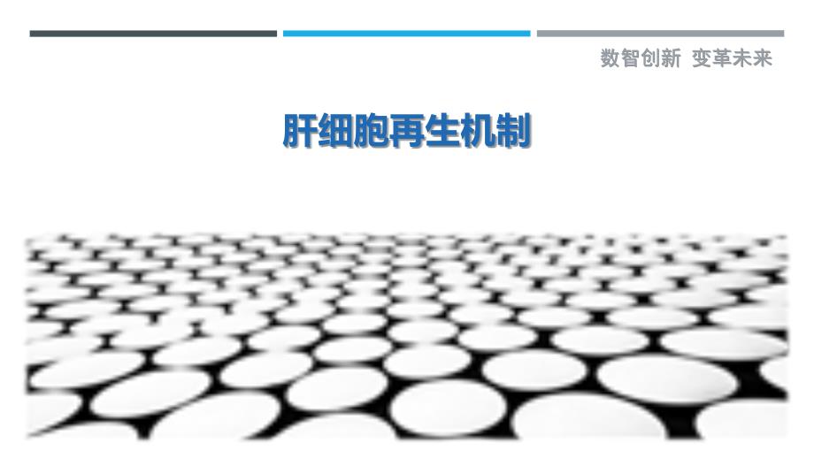 肝细胞再生机制-剖析洞察_第1页
