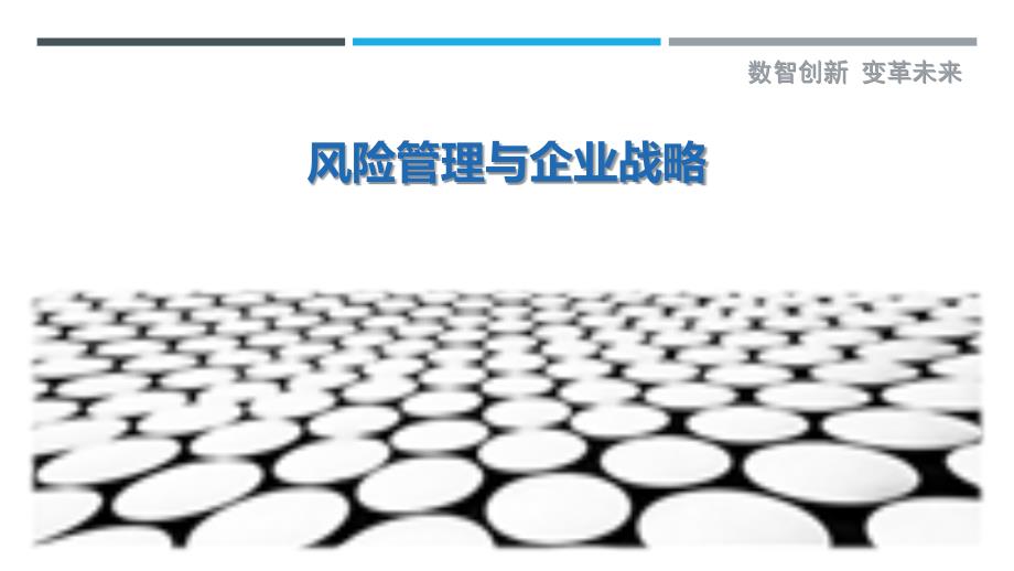 风险管理与企业战略-剖析洞察_第1页