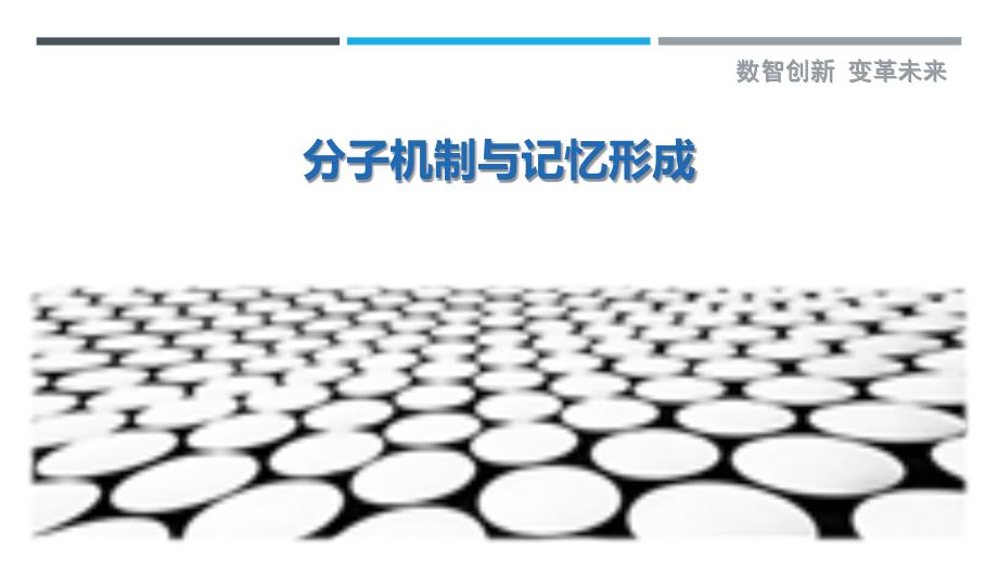 分子机制与记忆形成-剖析洞察_第1页