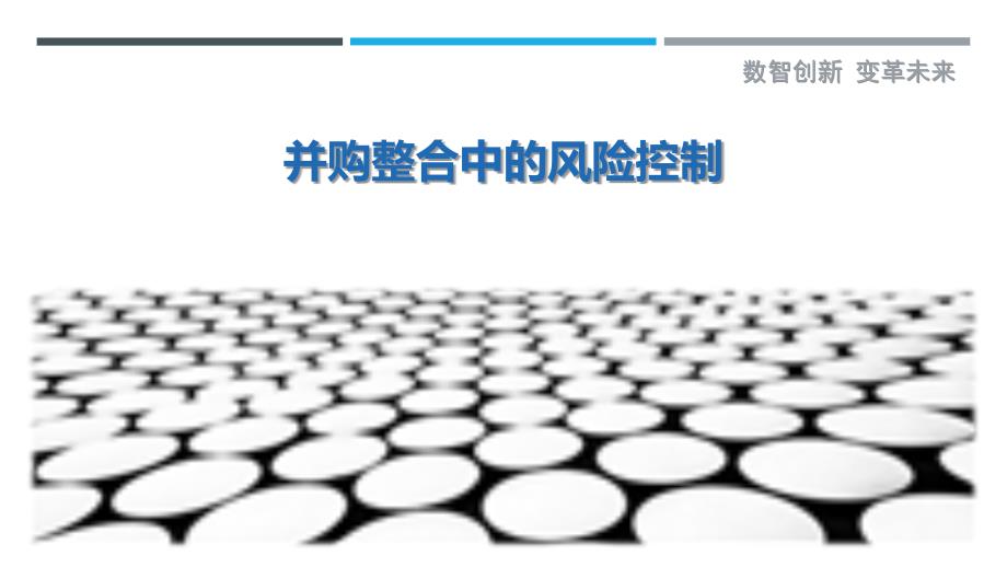 并购整合中的风险控制-详解洞察_第1页