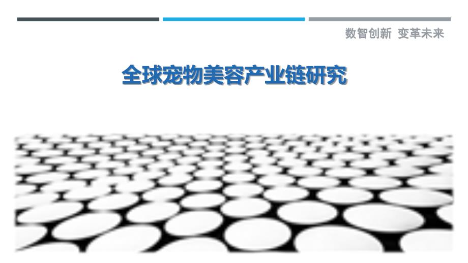 全球宠物美容产业链研究-详解洞察_第1页