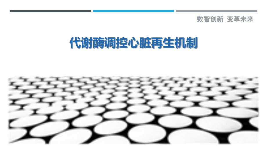代谢酶调控心脏再生机制-详解洞察_第1页