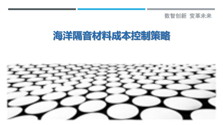 海洋隔音材料成本控制策略-详解洞察_第1页