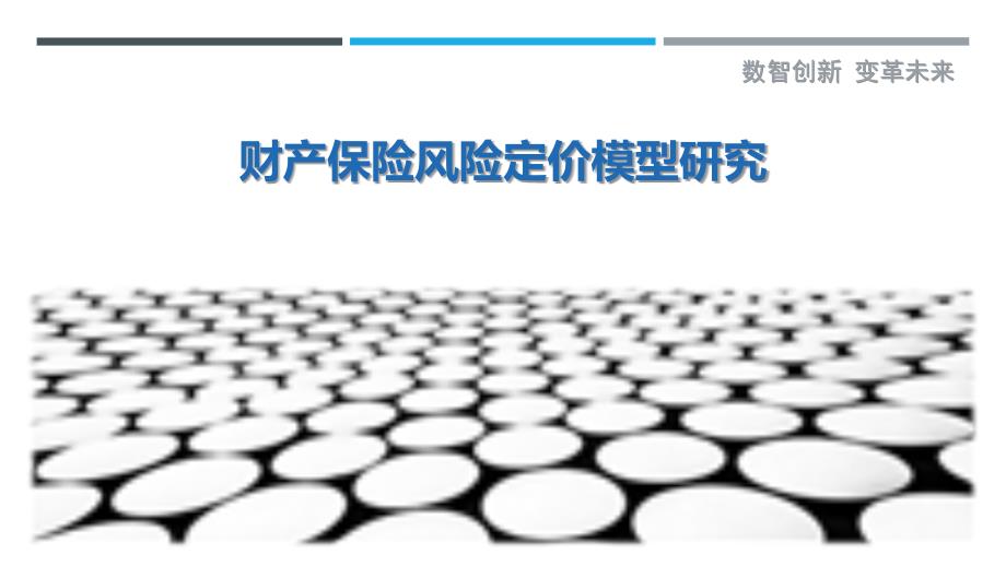 财产保险风险定价模型研究-详解洞察_第1页