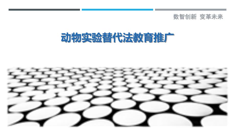 动物实验替代法教育推广-详解洞察_第1页
