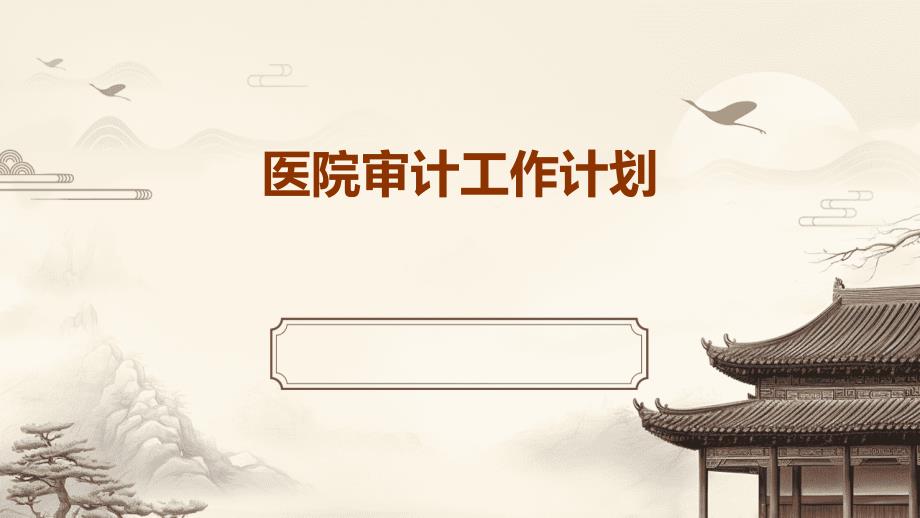 医院审计工作计划PPT_第1页