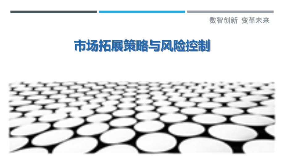 市场拓展策略与风险控制-详解洞察_第1页
