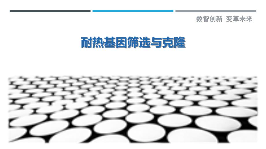 耐热基因筛选与克隆-详解洞察_第1页