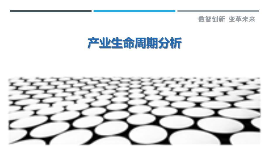 产业生命周期分析-详解洞察_第1页