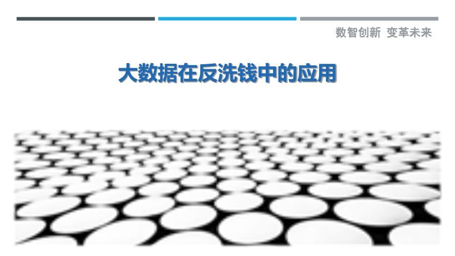 大数据在反洗钱中的应用-第4篇-详解洞察_第1页