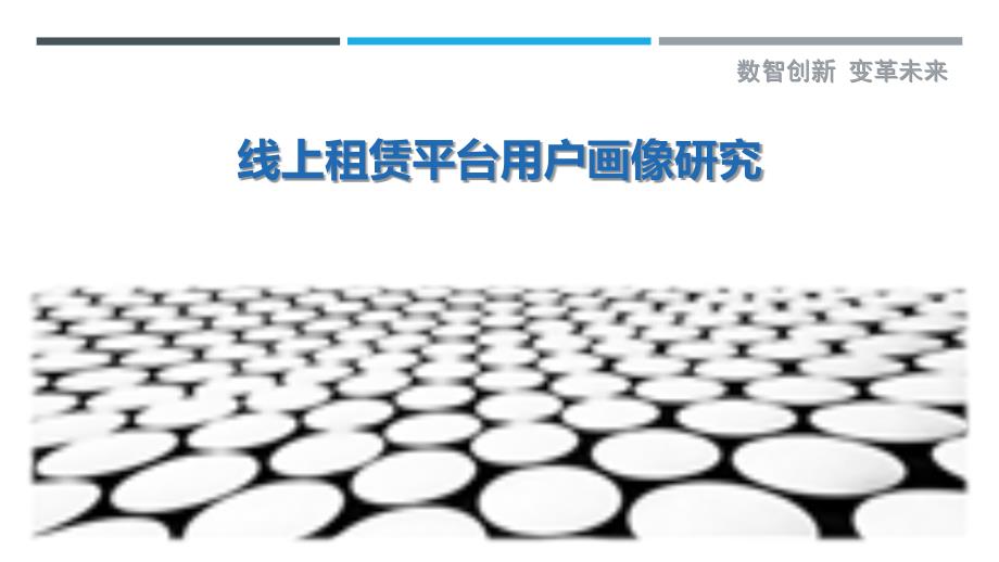 线上租赁平台用户画像研究-详解洞察_第1页