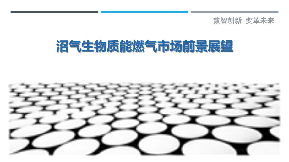 沼气生物质能燃气市场前景展望-详解洞察_第1页