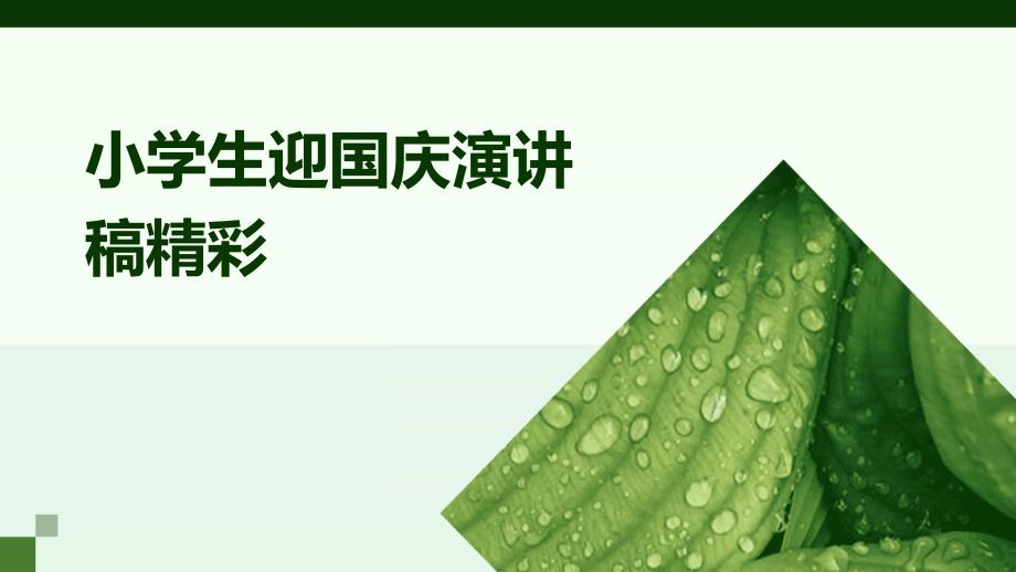 小学生迎国庆演讲稿精彩PPT_第1页