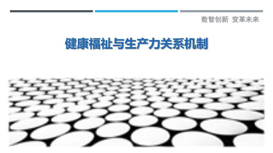 健康福祉与生产力关系机制-详解洞察_第1页