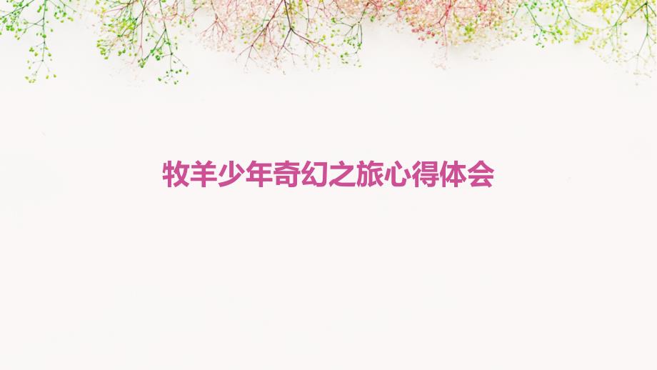 牧羊少年奇幻之旅心得体会PPT_第1页