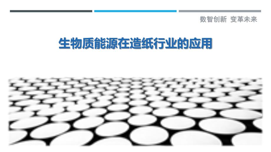 生物质能源在造纸行业的应用-详解洞察_第1页
