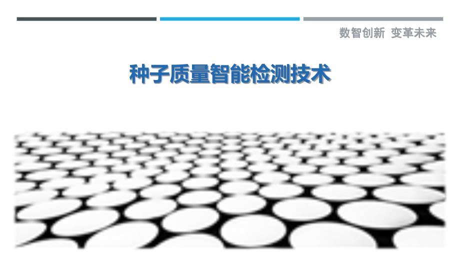种子质量智能检测技术-详解洞察_第1页