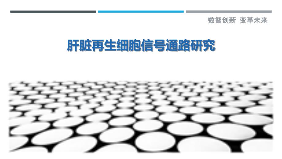 肝脏再生细胞信号通路研究-详解洞察_第1页